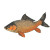 Silly Carp Illustration Vinyl Car Decal Sticker – Waterproof & UV-Resistant 8"