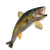 Jumping Walleye Vinyl Car Decal Sticker – Waterproof & UV-Resistant 8"