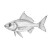 Jacrevelle Fish Drawing Vinyl Car Decal Sticker – Waterproof & UV-Resistant 8"