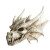 Dragon Skull V2 Vinyl Car Decal Sticker – Waterproof & UV-Resistant 8"