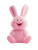 Pink Bunny Id Vinyl Car Decal Sticker – Waterproof & UV-Resistant 8"