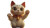 Beckoning Cat Scene Vinyl Car Decal Sticker – Waterproof & UV-Resistant 8"