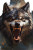 Angry Wolf Portrait Vinyl Car Decal Sticker – Waterproof & UV-Resistant 8"