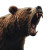 Scary Roaring Bear Vinyl Car Decal Sticker – Waterproof & UV-Resistant 8"