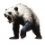 Angry Silver Bear Vinyl Car Decal Sticker – Waterproof & UV-Resistant 8"