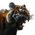 Roaring Tiger V5 Vinyl Car Decal Sticker – Waterproof & UV-Resistant 8"