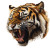 Fierce Tiger V2 Vinyl Car Decal Sticker – Waterproof & UV-Resistant 8"