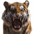 Roaring Tiger V6 Vinyl Car Decal Sticker – Waterproof & UV-Resistant 8"