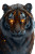 Mystical Tiger Art Vinyl Car Decal Sticker – Waterproof & UV-Resistant 8"