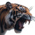 Roaring Tiger Face V2 Vinyl Car Decal Sticker – Waterproof & UV-Resistant 8"