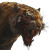 Zombie Tiger V2 Vinyl Car Decal Sticker – Waterproof & UV-Resistant 8"