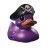 Purple Pirate Duck Vinyl Car Decal Sticker – Waterproof & UV-Resistant 8"
