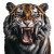 Roaring Tiger Close-Up V2 Vinyl Car Decal Sticker – Waterproof & UV-Resistant 8"