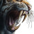 Saber-Tooth Jaws Vinyl Car Decal Sticker – Waterproof & UV-Resistant 8"