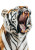 Tiger Head Close-Up Vinyl Car Decal Sticker – Waterproof & UV-Resistant 8"