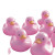 Pink 3D Ducks Vinyl Car Decal Sticker – Waterproof & UV-Resistant 8"