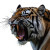 Aggressive Tiger Head Vinyl Car Decal Sticker – Waterproof & UV-Resistant 8"