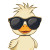 Cool Duckling Illustration Vinyl Car Decal Sticker – Waterproof & UV-Resistant 8"
