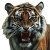 Tiger V11 Vinyl Car Decal Sticker – Waterproof & UV-Resistant 8"