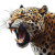 Angry Jaguar V2 Vinyl Car Decal Sticker – Waterproof & UV-Resistant 8"