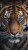 Tiger Skin Close-Up Vinyl Car Decal Sticker – Waterproof & UV-Resistant 8"