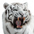 Fierce White Tiger V8 Vinyl Car Decal Sticker – Waterproof & UV-Resistant 8"