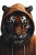 Angry Hoodie Tiger Vinyl Car Decal Sticker – Waterproof & UV-Resistant 8"