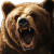 Angry Brown Bear V2 Vinyl Car Decal Sticker – Waterproof & UV-Resistant 8"
