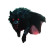 Shaggy Black Dog Vinyl Car Decal Sticker – Waterproof & UV-Resistant 8"