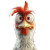 Bad Chicken Vinyl Car Decal Sticker – Waterproof & UV-Resistant 8"
