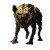 Abyssal Hyena Vinyl Car Decal Sticker – Waterproof & UV-Resistant 8"