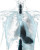 X-Ray Chest Scan Vinyl Car Decal Sticker – Waterproof & UV-Resistant 8"