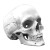 Sideways Human Skull Vinyl Car Decal Sticker – Waterproof & UV-Resistant 8"