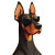Cool Doberman Dog Vinyl Car Decal Sticker – Waterproof & UV-Resistant 8"