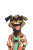 Cartoon Dog Human Vinyl Car Decal Sticker – Waterproof & UV-Resistant 8"