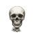 Skull In Frame Vinyl Car Decal Sticker – Waterproof & UV-Resistant 8"