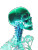 Neon Skeleton X-Ray Vinyl Car Decal Sticker – Waterproof & UV-Resistant 8"