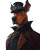 Steampunk Goth Scooby Vinyl Car Decal Sticker – Waterproof & UV-Resistant 8"