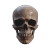 Hyper Realistic Skull Vinyl Car Decal Sticker – Waterproof & UV-Resistant 8"