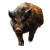Fantasy Boar Vinyl Car Decal Sticker – Waterproof & UV-Resistant 8"