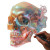 Hyper Realistic Skull V2 Vinyl Car Decal Sticker – Waterproof & UV-Resistant 8"