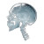 Xray Skull Design Vinyl Car Decal Sticker – Waterproof & UV-Resistant 8"