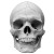 Realistic Gray Skull Vinyl Car Decal Sticker – Waterproof & UV-Resistant 8"
