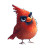 Cute Cardinal Bird V2 Vinyl Car Decal Sticker – Waterproof & UV-Resistant 8"