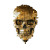 Golden Death Skull Vinyl Car Decal Sticker – Waterproof & UV-Resistant 8"
