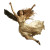 Falling Angel V12 Vinyl Car Decal Sticker – Waterproof & UV-Resistant 8"