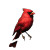 Red Bird V2 Vinyl Car Decal Sticker – Waterproof & UV-Resistant 8"