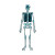 Cartoon Skeleton X-Ray Vinyl Car Decal Sticker – Waterproof & UV-Resistant 8"