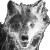 Transparent Wolf Snarling Vinyl Car Decal Sticker – Waterproof & UV-Resistant 8"