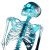 Glowing Blue Skeleton Vinyl Car Decal Sticker – Waterproof & UV-Resistant 8"